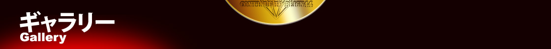ギャラリー