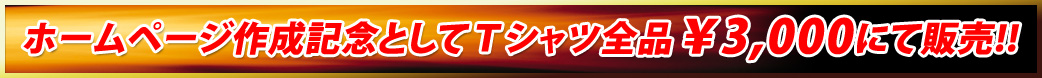 ホームページ作成記念としてＴシャツ全品￥3,000にて販売!!