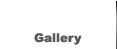 ギャラリー