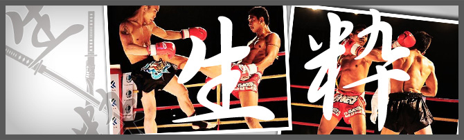 生粋 大会詳細情報